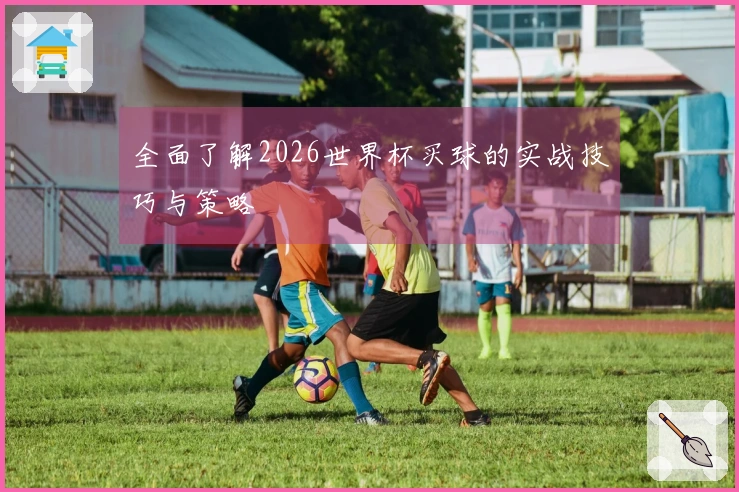 全面了解2026世界杯买球的实战技巧与策略