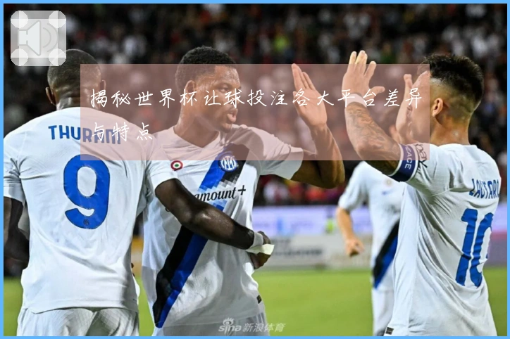揭秘世界杯让球投注各大平台差异与特点