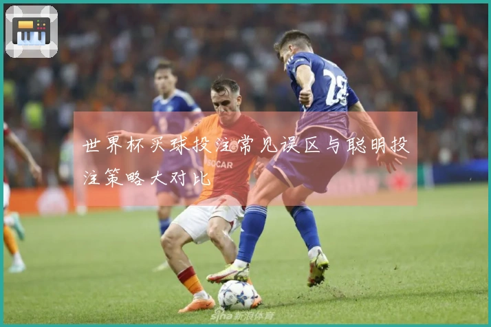 世界杯买球投注常见误区与聪明投注策略大对比