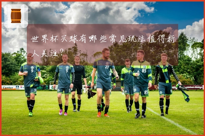世界杯买球有哪些常见玩法值得新人关注？