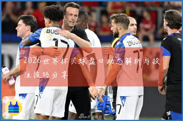 2026世界杯买球盘口动态解析与投注技巧分享
