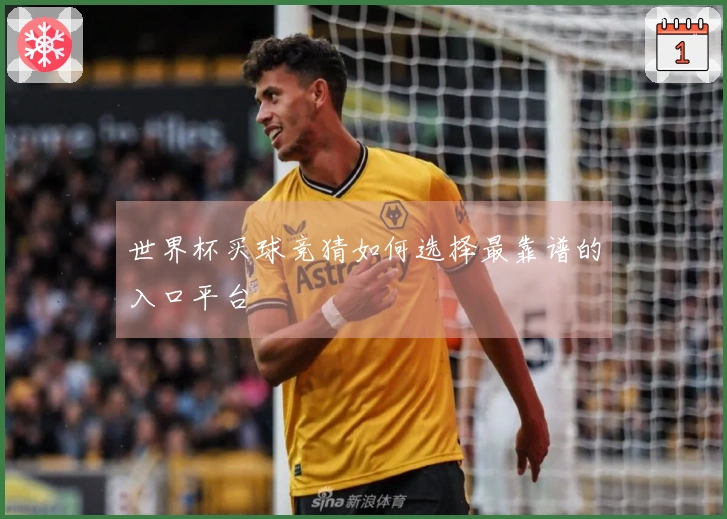 世界杯买球竞猜如何选择最靠谱的入口平台