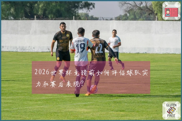 2026世界杯竞猜前如何评估球队实力和赛后表现？