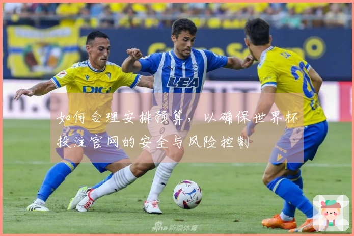 如何合理安排预算，以确保世界杯投注官网的安全与风险控制