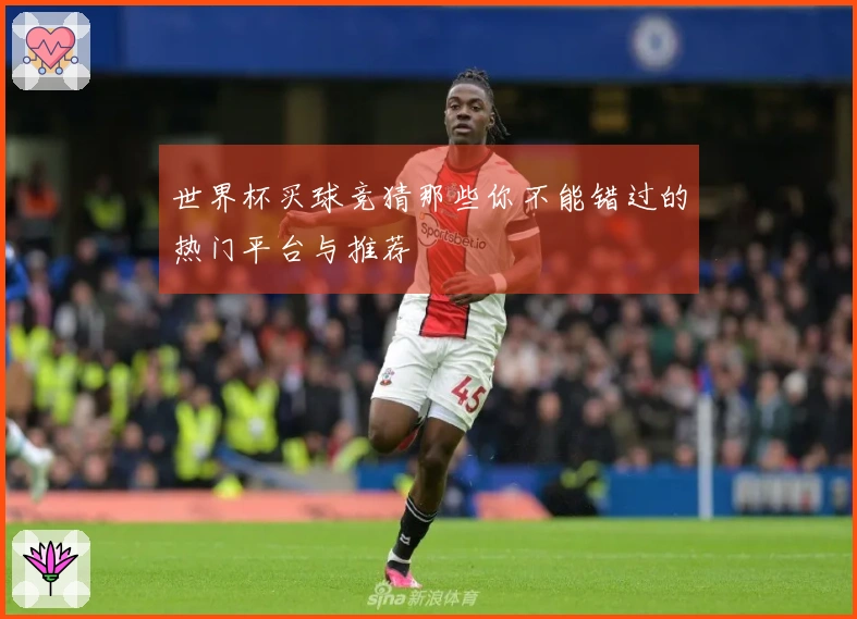 世界杯买球竞猜那些你不能错过的热门平台与推荐