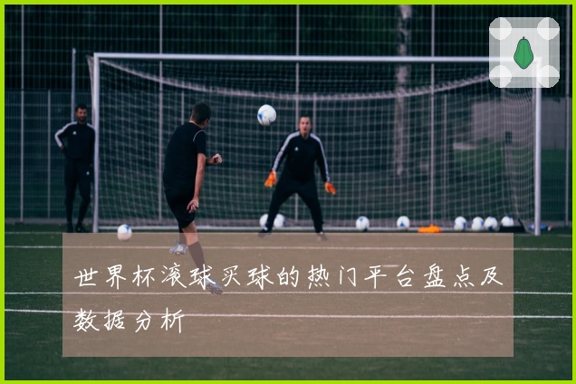 世界杯滚球买球的热门平台盘点及数据分析