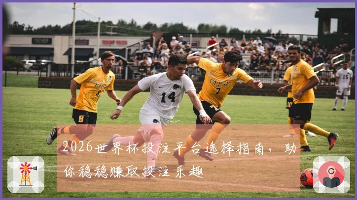 2026世界杯投注平台选择指南，助你稳稳赚取投注乐趣