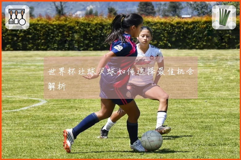 世界杯让球买球如何选择最佳机会解析