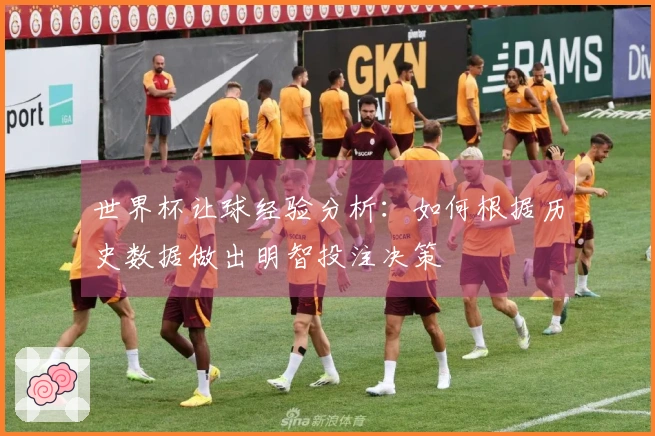世界杯让球经验分析：如何根据历史数据做出明智投注决策