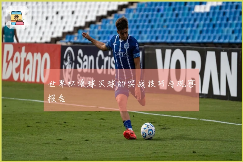 世界杯滚球买球的实战技巧与观察报告