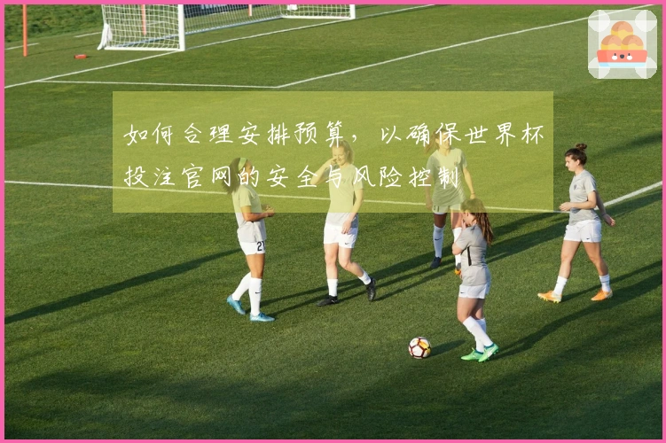 如何合理安排预算，以确保世界杯投注官网的安全与风险控制