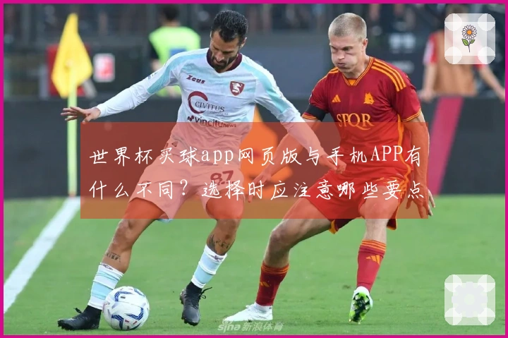 世界杯买球app网页版与手机APP有什么不同？选择时应注意哪些要点