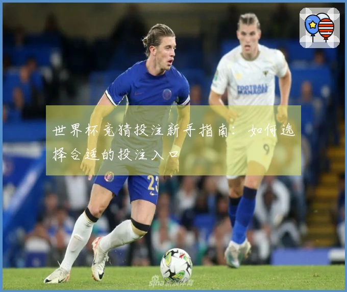 世界杯竞猜投注新手指南：如何选择合适的投注入口
