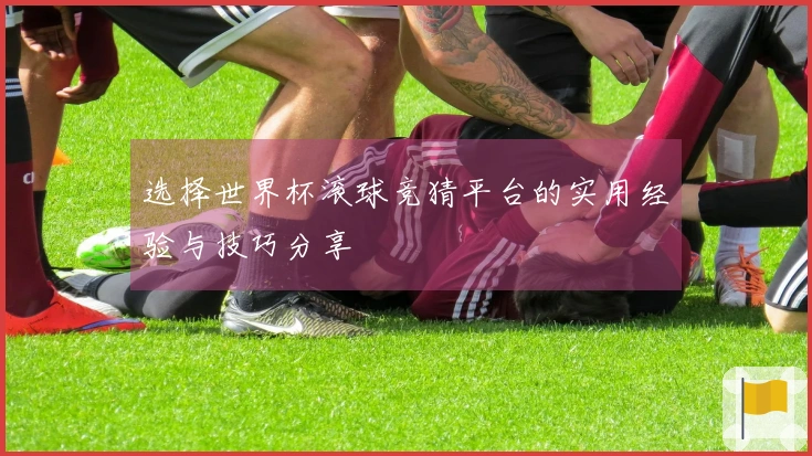 选择世界杯滚球竞猜平台的实用经验与技巧分享