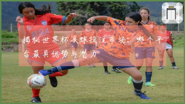 揭秘世界杯滚球投注市场：哪个平台最具优势与潜力