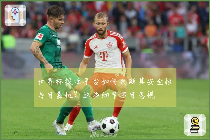世界杯投注平台如何判断其安全性与可靠性？这些细节不可忽视